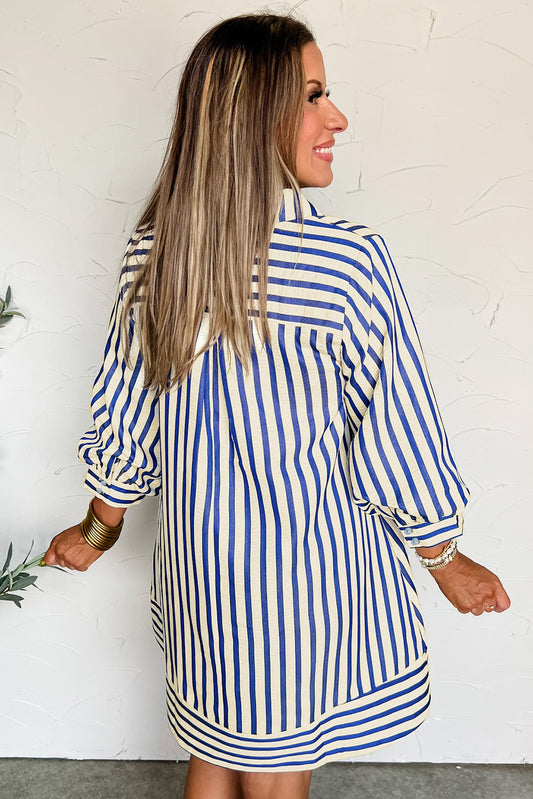 Blue Striped Collared Loose Fit Mini Dress